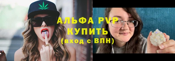 стаф Алексин