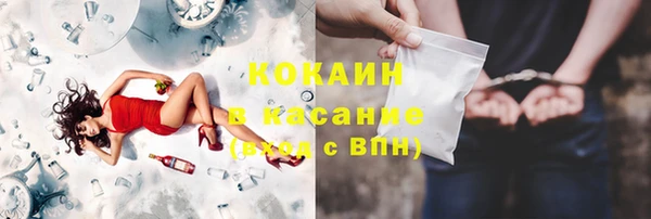 стаф Алексин