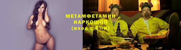 стаф Алексин