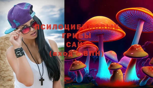 стаф Алексин