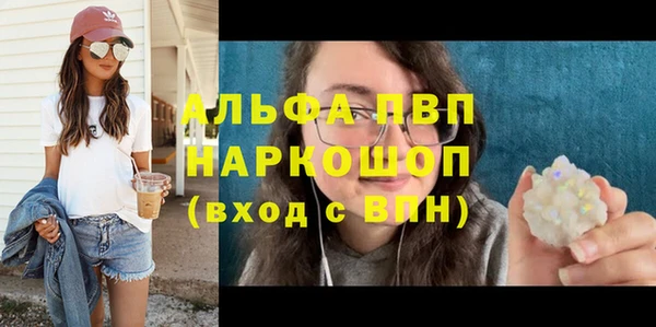 стаф Алексин