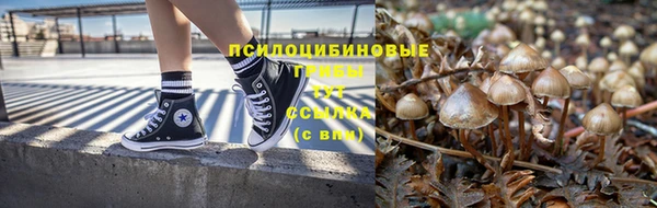 стаф Алексин