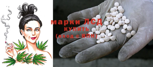 стаф Алексин