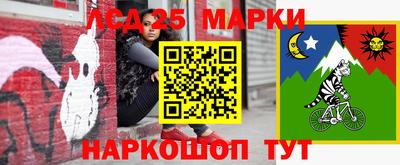 мдпв Кингисепп
