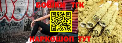 мдпв Кингисепп