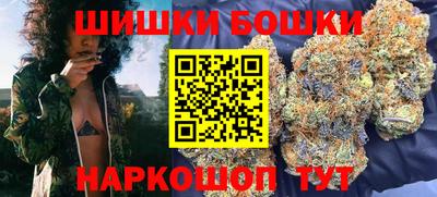 мдпв Кингисепп