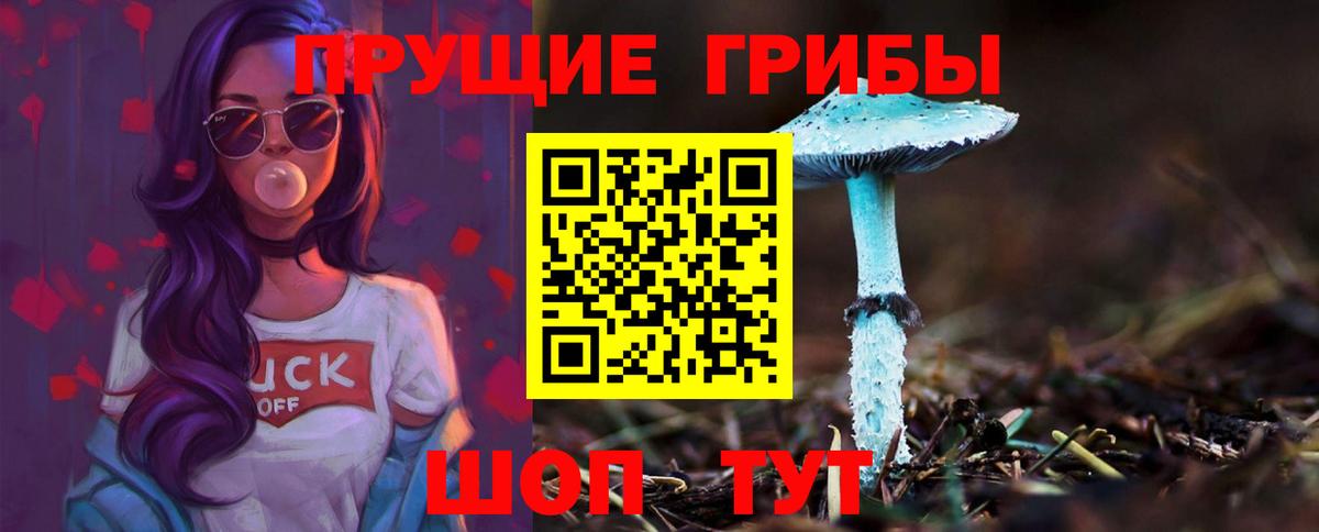 Красноуфимск  Галлюциногенные грибы Psilocybine cubensis  Вход с VPN 